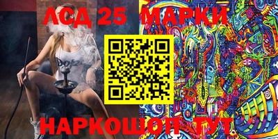 стафф Донецк