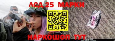 стафф Донецк