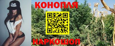 Альфа ПВП Донской