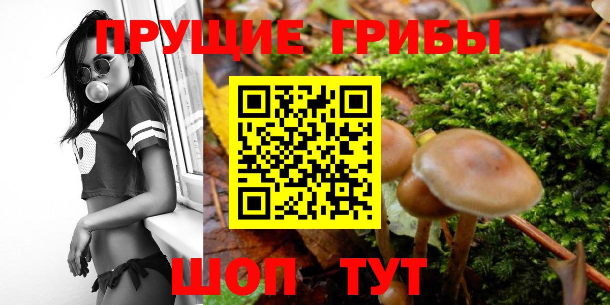 Псилоцибиновые грибы Magic Shrooms  закладка  Нефтеюганск  Вход с VPN  Галлюциногенные грибы GOLDEN TEACHER 